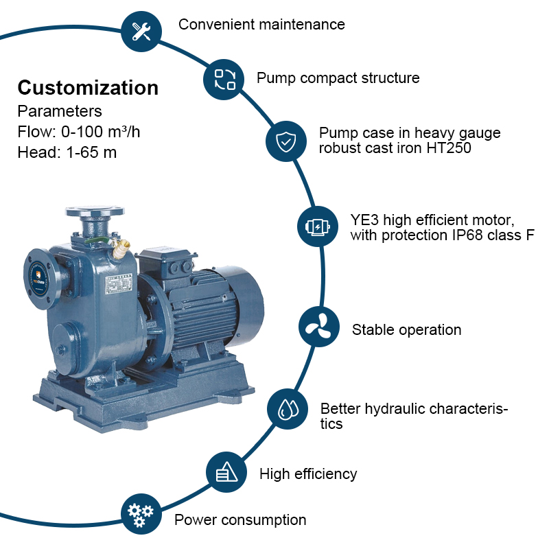 Pompe auto-amorçante pour eau propre à grand débit série BZ