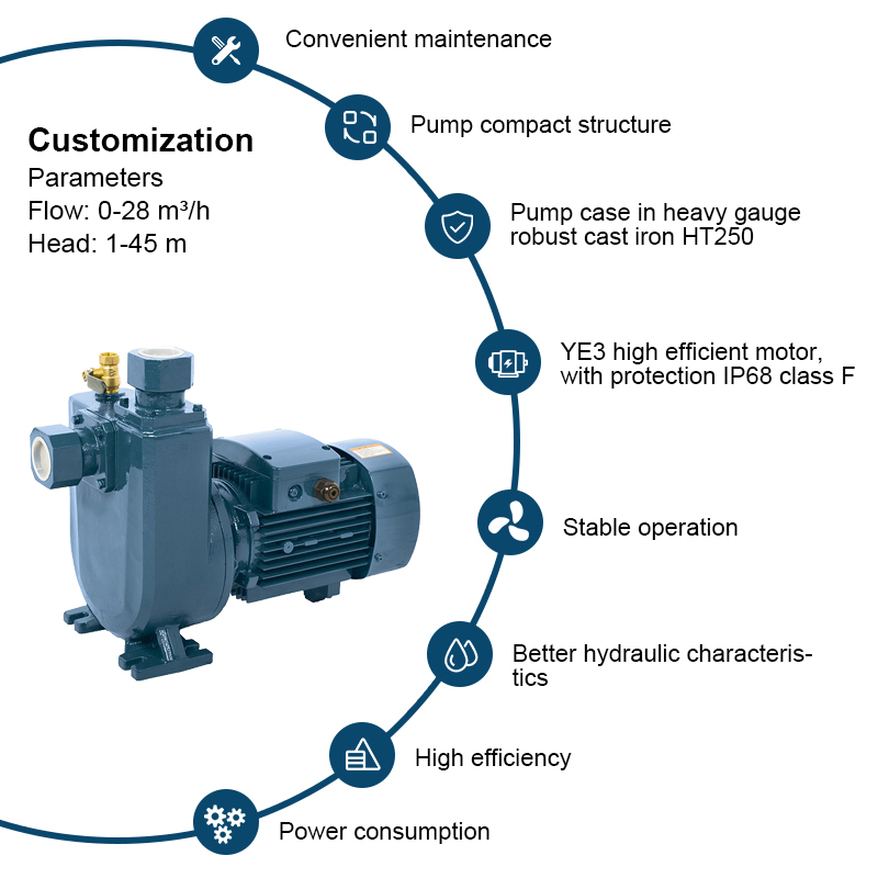 Pompe d'irrigation centrifuge auto-amorçante à eau propre à orifice fileté de la série PXZ