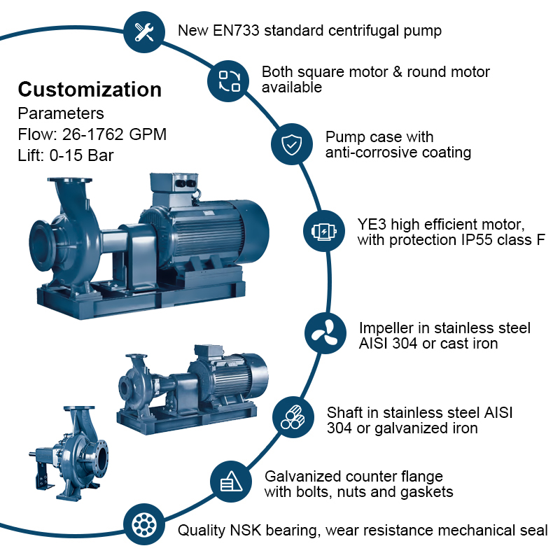 Pompe centrifuge à arbre nu à moteur électrique standard EN733